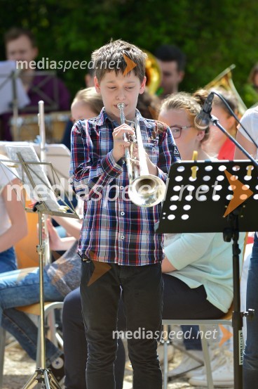 Salon Sauvignon 2016