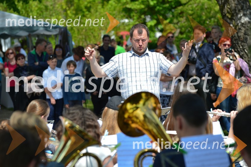 Salon Sauvignon 2016