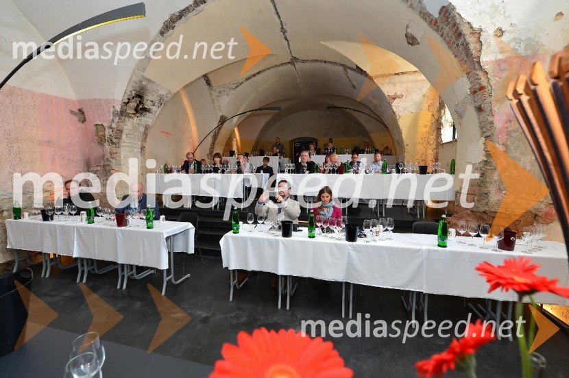 Salon Sauvignon 2016