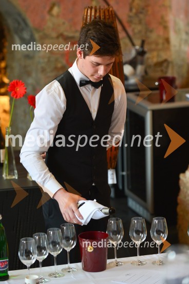 Salon Sauvignon 2016