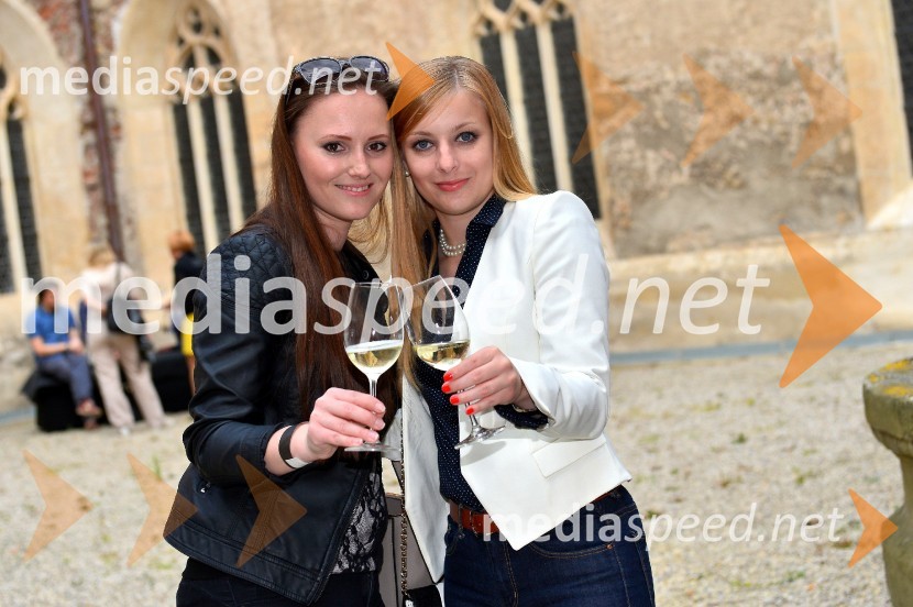 Salon Sauvignon 2016