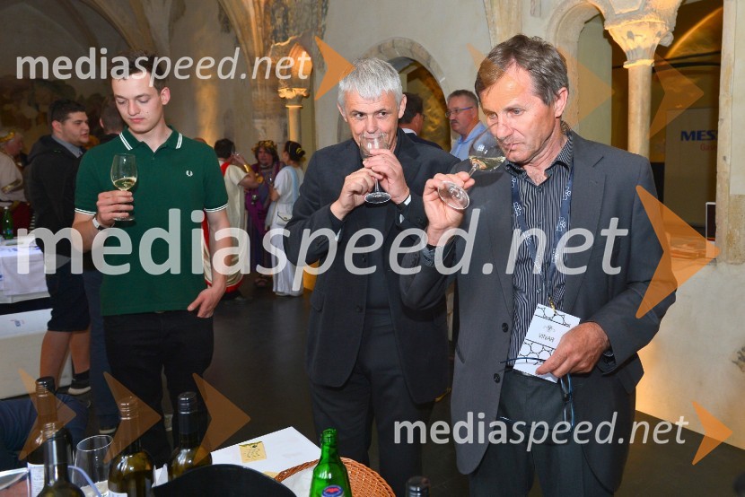 Salon Sauvignon 2016