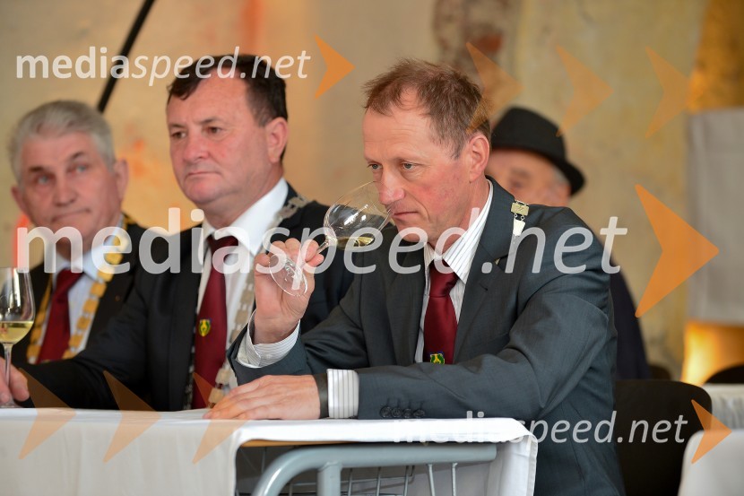 Salon Sauvignon 2016