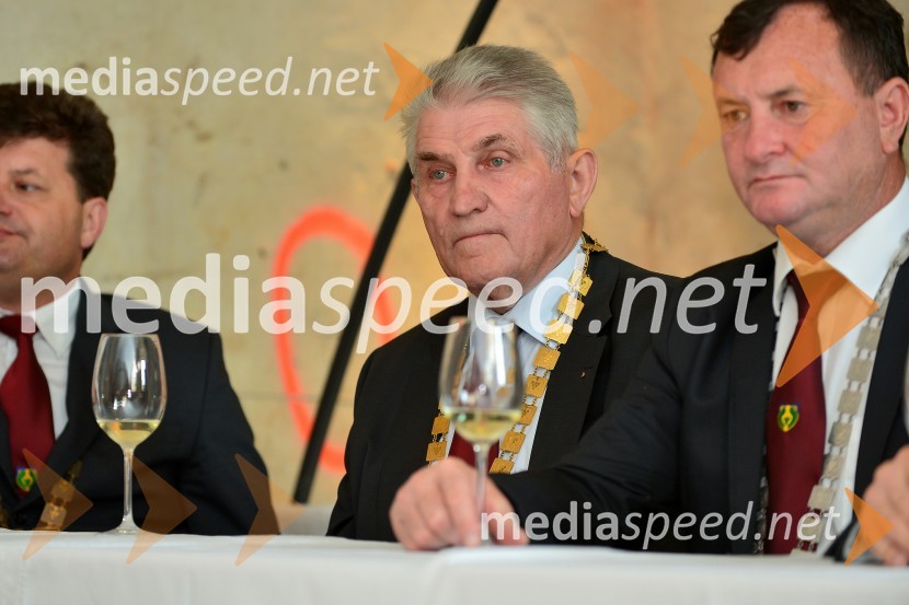 Salon Sauvignon 2016