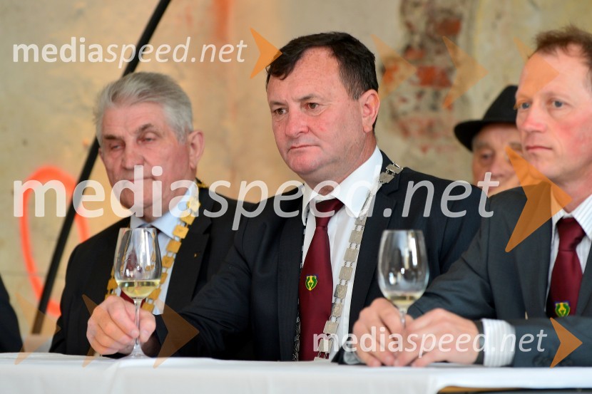 Salon Sauvignon 2016