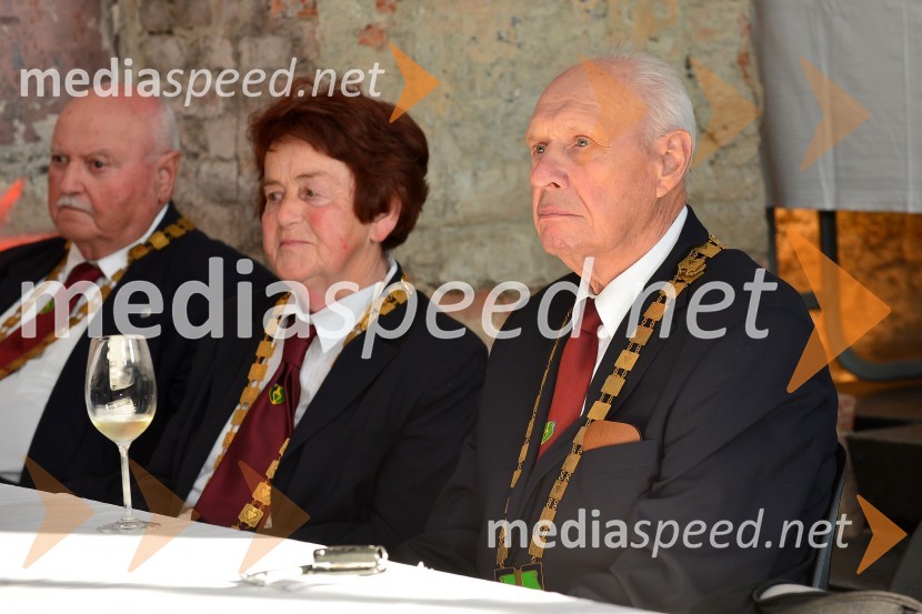 Salon Sauvignon 2016