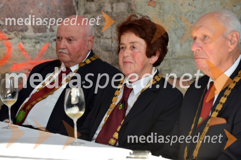 Salon Sauvignon 2016