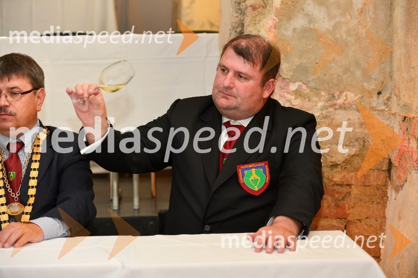 Salon Sauvignon 2016