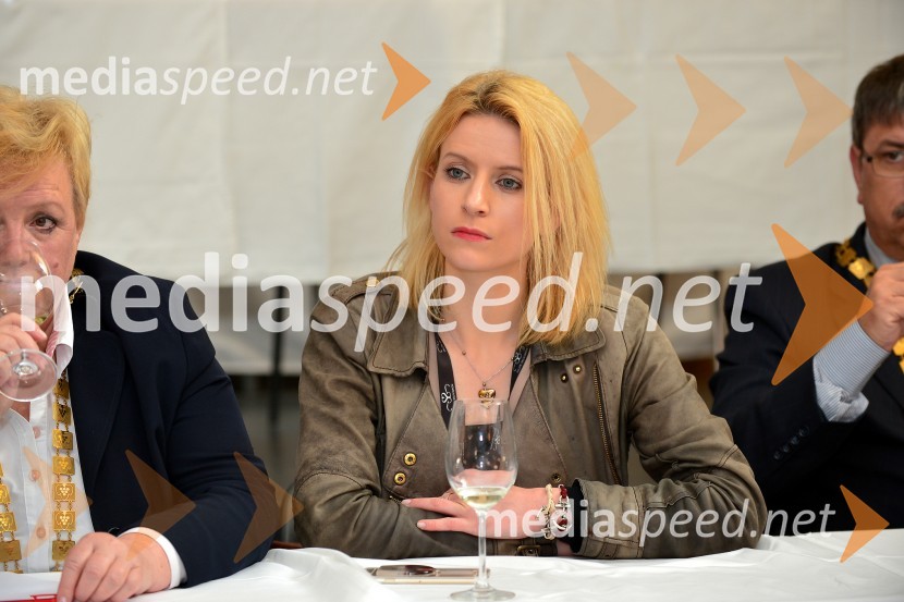 Salon Sauvignon 2016