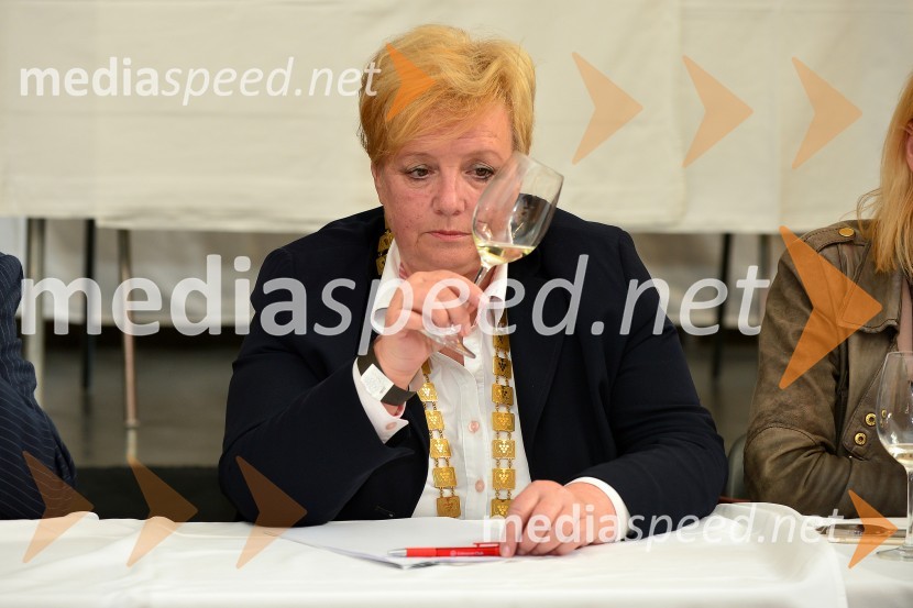 Salon Sauvignon 2016