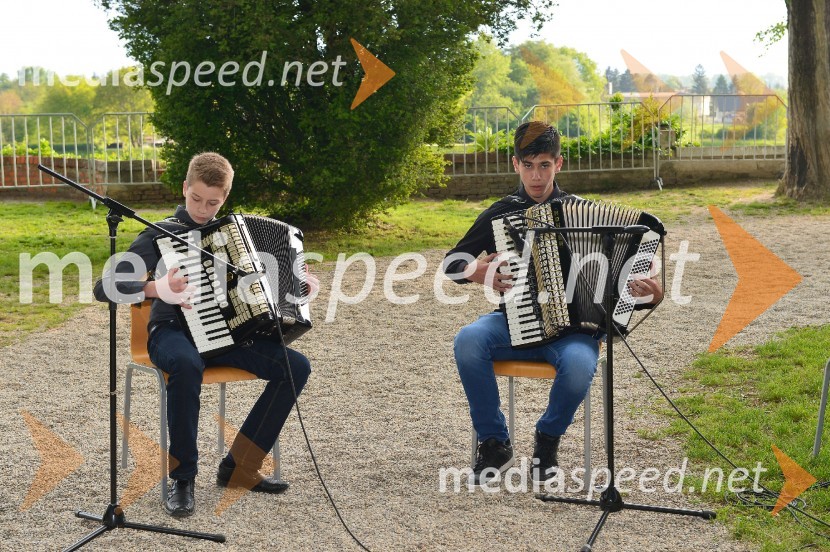 Salon Sauvignon 2016