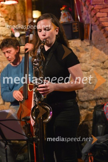 Salon Sauvignon 2016