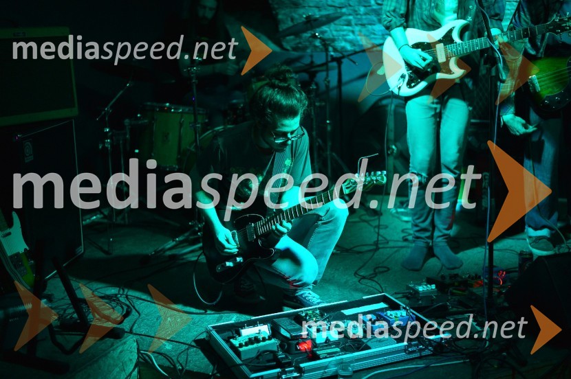 Salon Sauvignon 2016