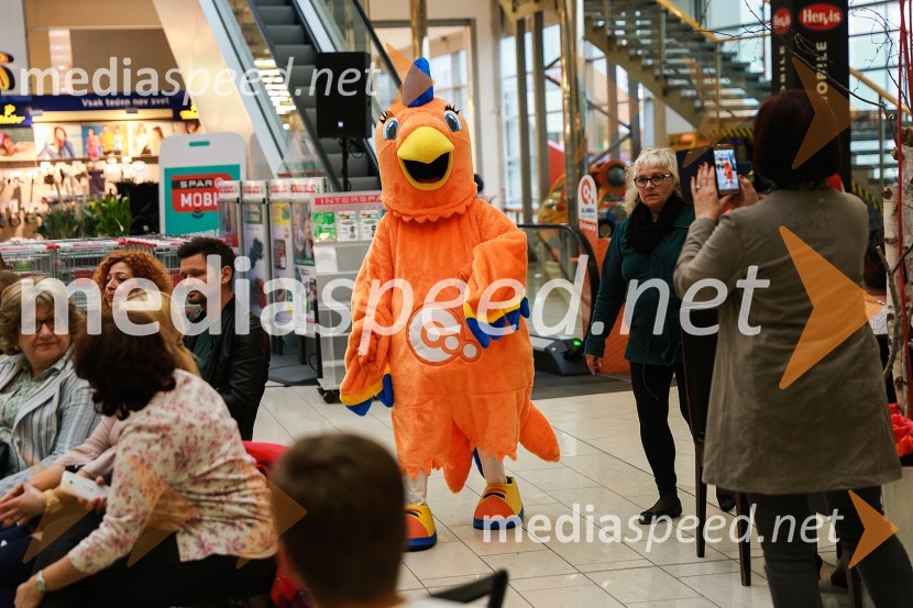 Modna revija v Qlandii Ptuj