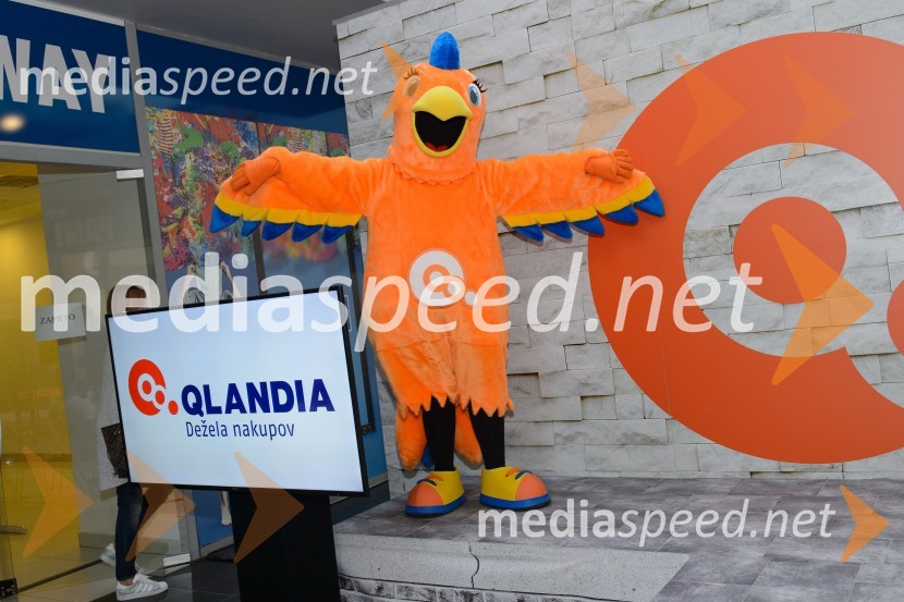 Modna revija v Qlandii Maribor