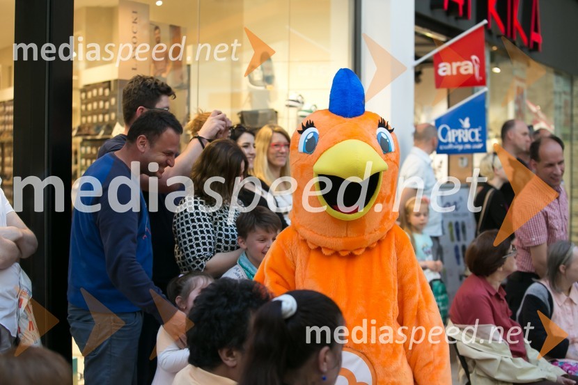 Modna revija v Qlandii Nova Gorica