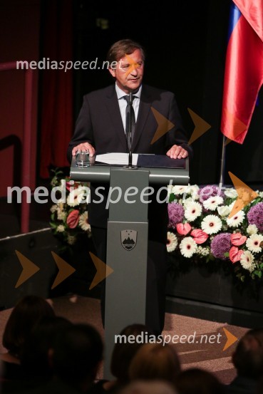  Karl Erjavec, minister za zunanje zadeve RS, predsednik stranke Desus25. obletnica slovenske diplomacije