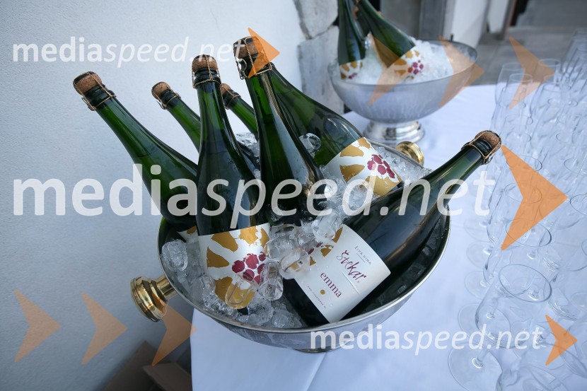 Dragon's ball 2016Dragon's ball 2016