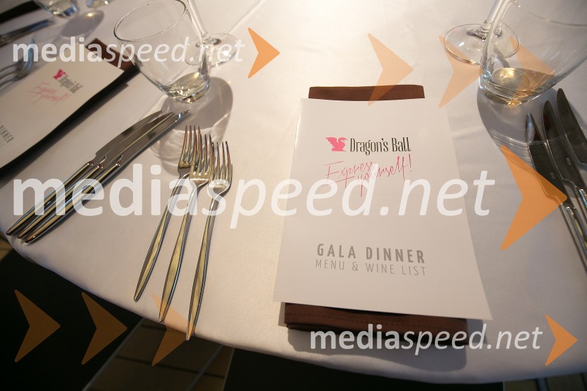 Dragon's ball 2016Dragon's ball 2016