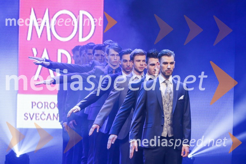 Finalisti Mister Slovenije 2016Mister Slovenije 2016 je Tilen Grah