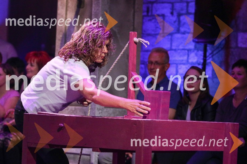  Breda Vidali, finalistka, resničnostni šov Bilo je nekočZmagovalec šova Bilo je nekoč je Niki Pagon