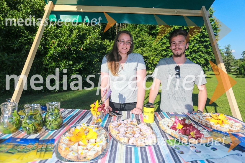 Vrtnice in vino, koncert v Botaničnem vrtu UM