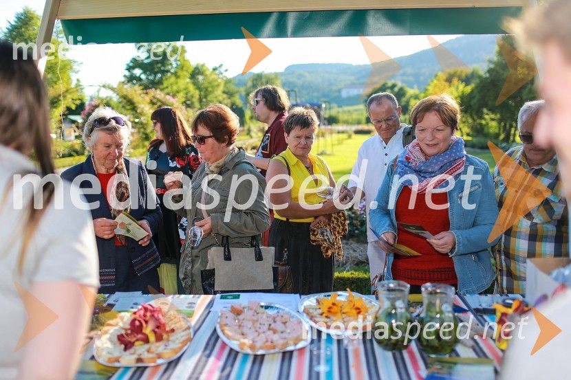 Vrtnice in vino, koncert v Botaničnem vrtu UM