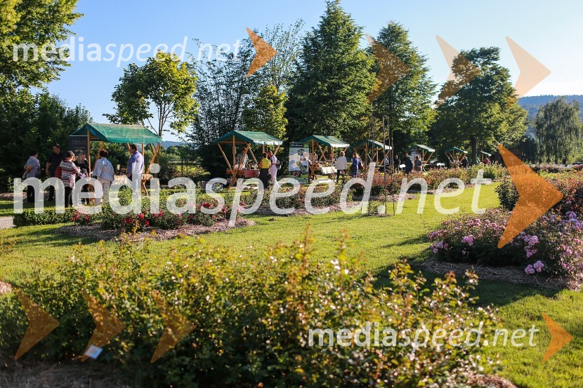 Vrtnice in vino, koncert v Botaničnem vrtu UMVrtnice in vino, koncert v Botaničnem vrtu UM