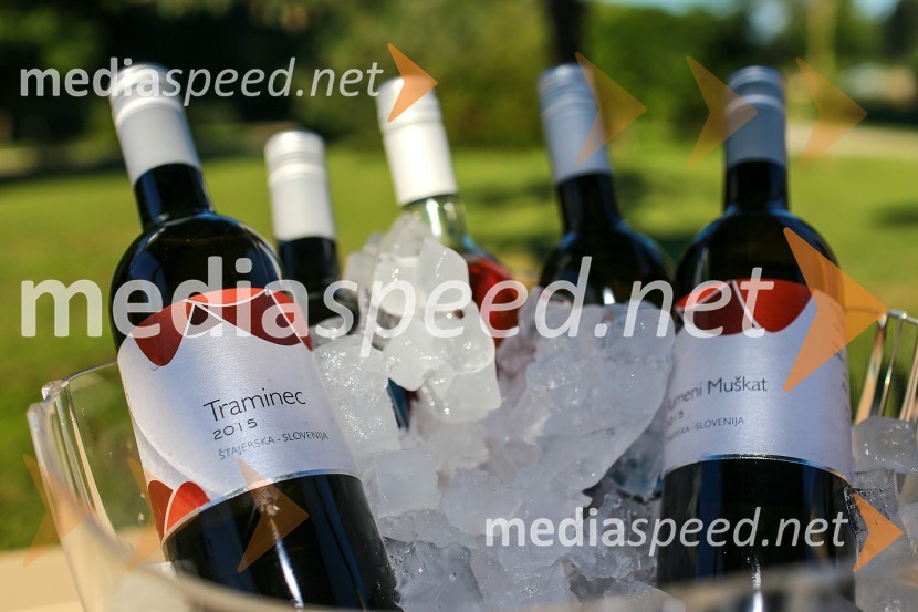 Vrtnice in vino, koncert v Botaničnem vrtu UMVrtnice in vino, koncert v Botaničnem vrtu UM