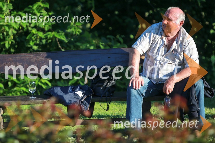 Vrtnice in vino, koncert v Botaničnem vrtu UM