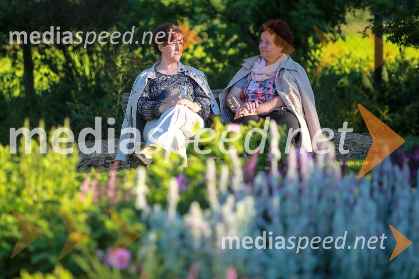 Vrtnice in vino, koncert v Botaničnem vrtu UM