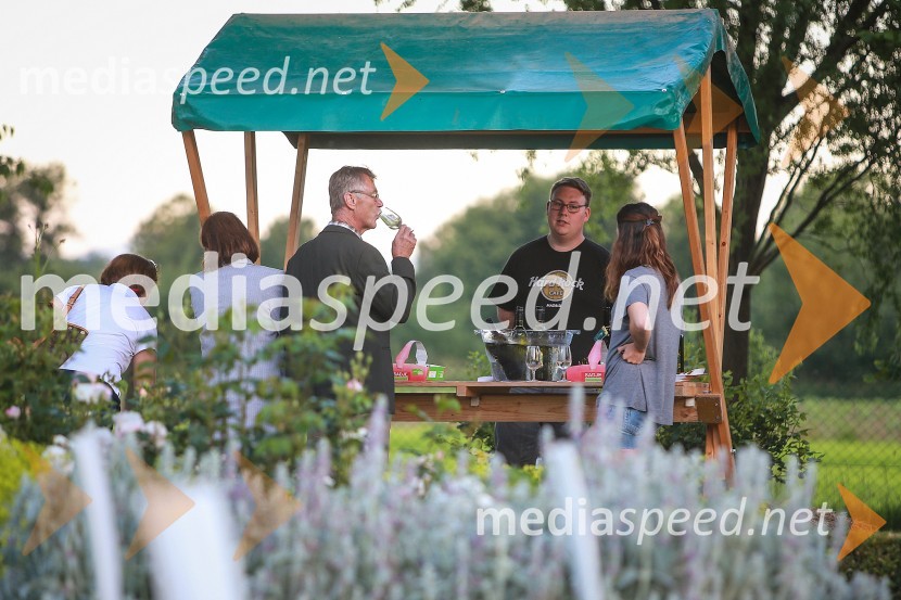 Vrtnice in vino, koncert v Botaničnem vrtu UM