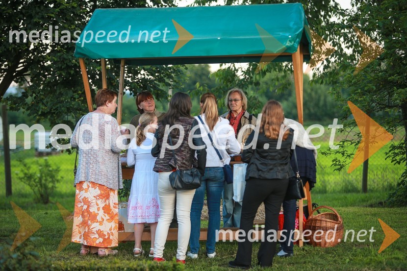 Vrtnice in vino, koncert v Botaničnem vrtu UM