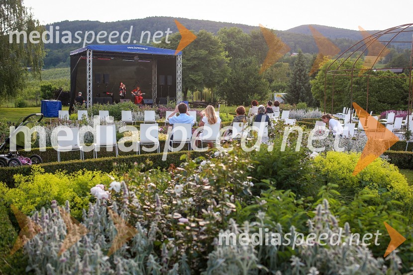Vrtnice in vino, koncert v Botaničnem vrtu UMVrtnice in vino, koncert v Botaničnem vrtu UM