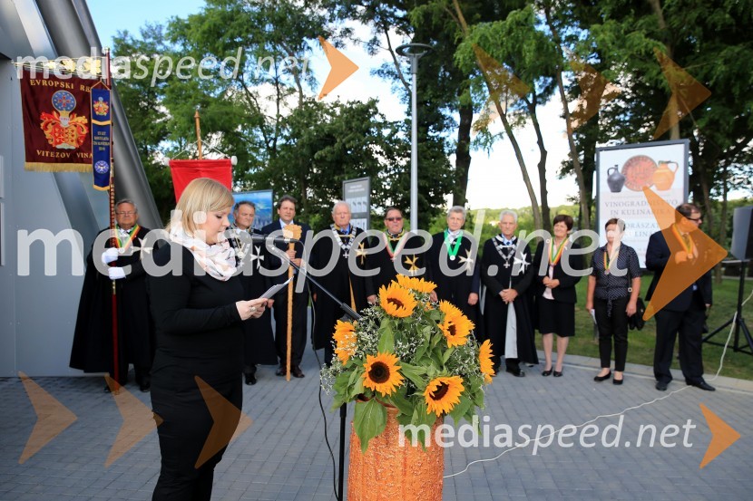  Iris Gazdag, Vinarium LendavaNa stolpu Vinarium Lendava odprli razstavo pomurske lončene posode