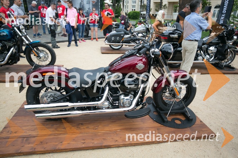 Harley-DavidsonVeliki evropski Jeep - Harley Davidson dogodek