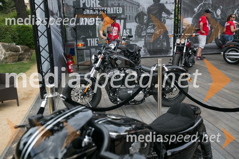 Harley-DavidsonVeliki evropski Jeep - Harley Davidson dogodek