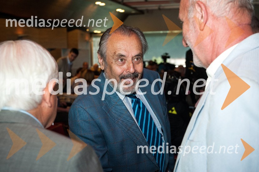 prof. dr. Ernest Petrič, ustavni sodnikSlovenija in pika, predstavitev knjige