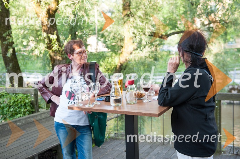 60. let Slovenskega mladinskega gledališča, otvoritev razstave