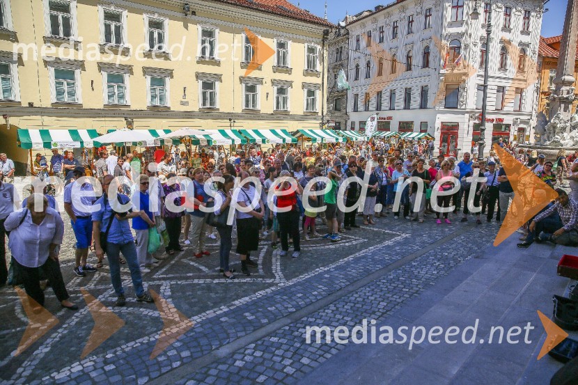 Ljubljanska vinska pot 2016