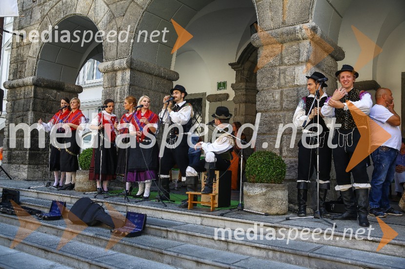 Ljubljanska vinska pot 2016