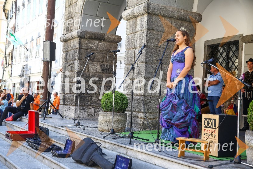  Sara Stadler, Vinska kraljica Slovenije 2016Ljubljanska vinska pot 2016