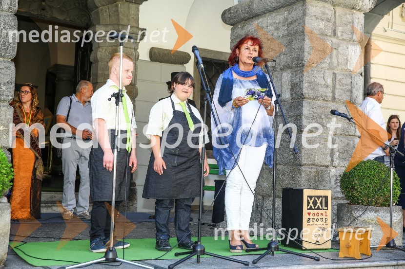 dr.  Valerija Bužan, direktorica VDC Dolfke BoštjaničičLjubljanska vinska pot 2016