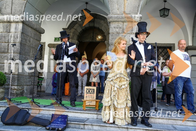 Ljubljanska vinska pot 2016