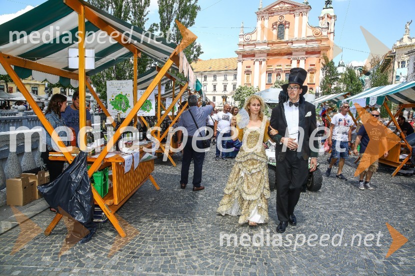 Ljubljanska vinska pot 2016