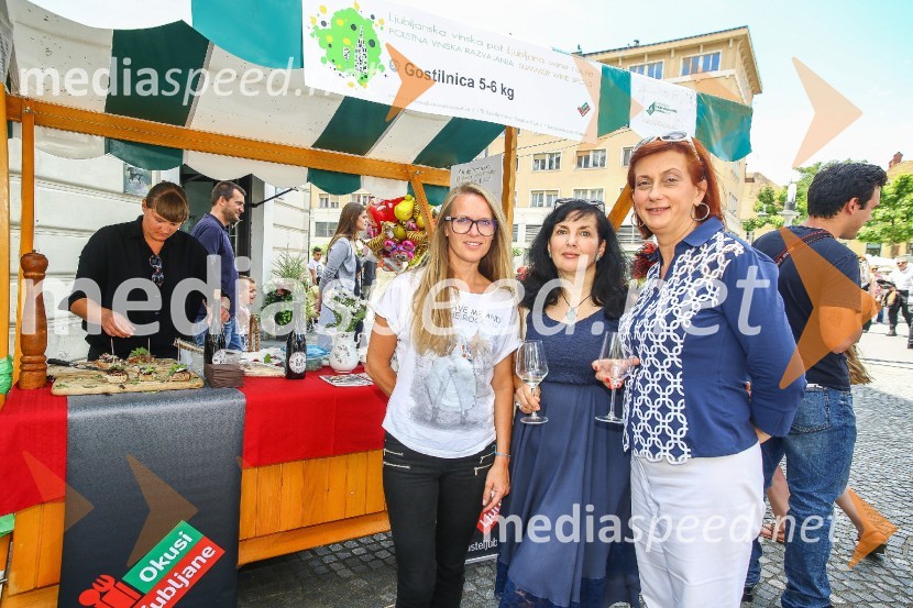 Ljubljanska vinska pot 2016