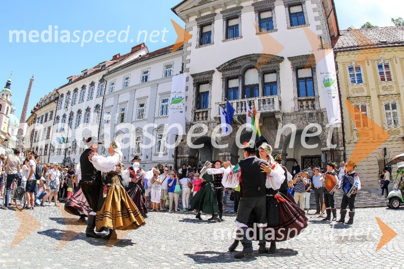 Ljubljanska vinska pot 2016