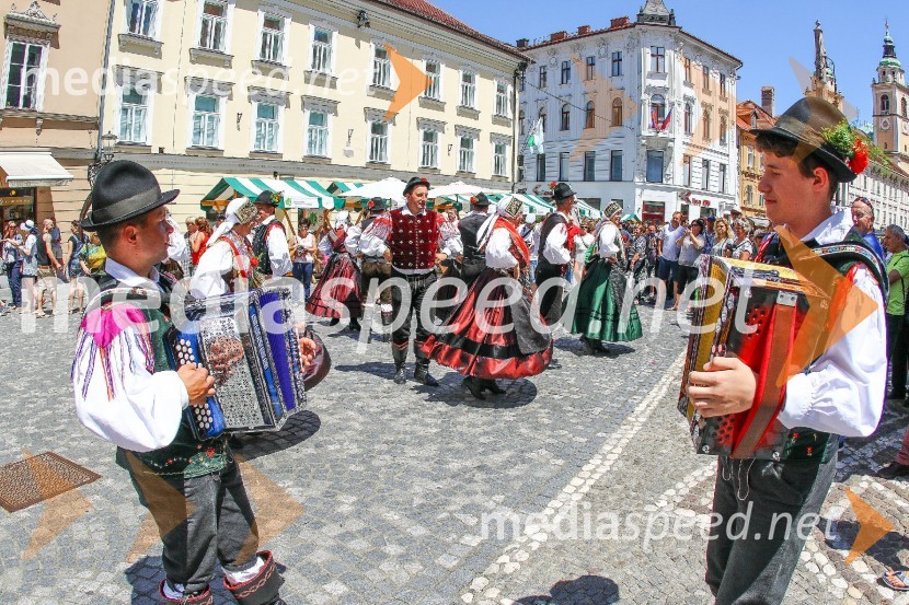 Ljubljanska vinska pot 2016