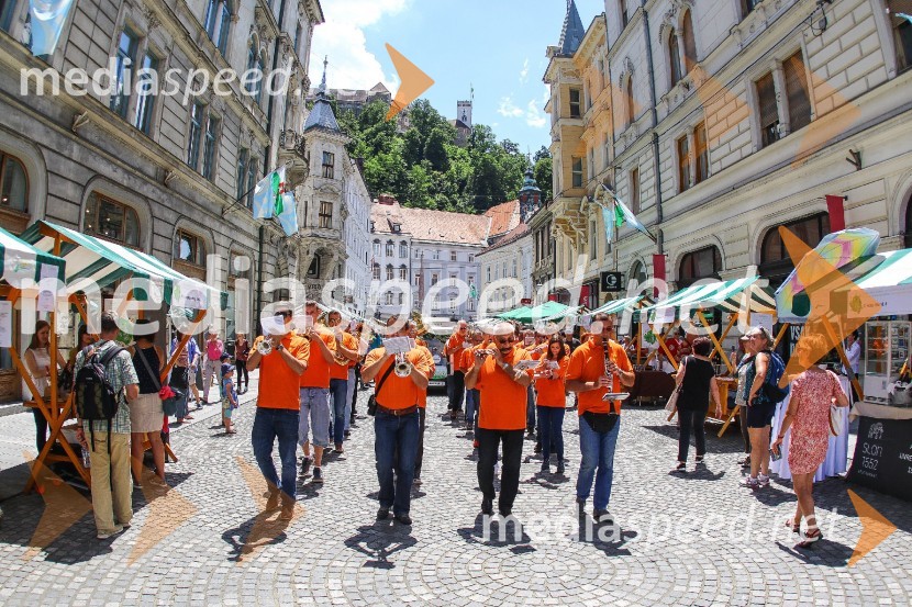 Ljubljanska vinska pot 2016