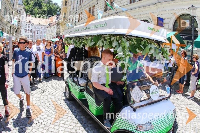 Ljubljanska vinska pot 2016
